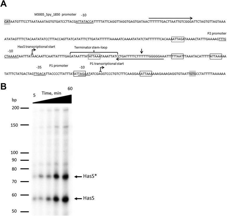 FIG 1