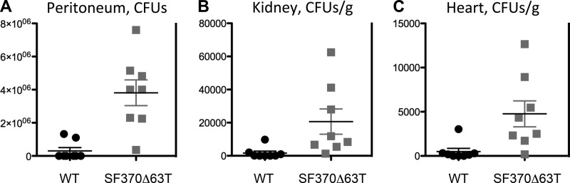 FIG 8