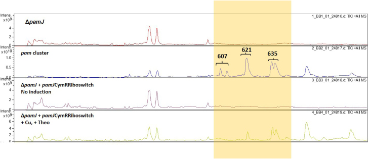 Fig. 8.