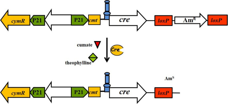 Fig. 9.