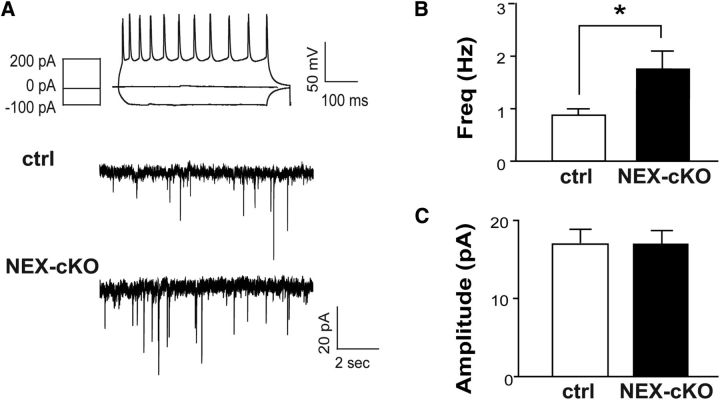 Figure 5.