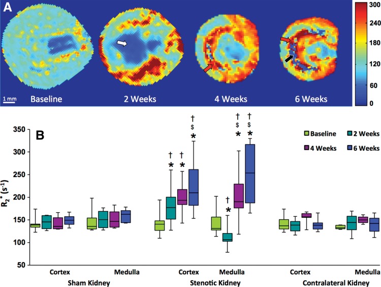 Figure 4: