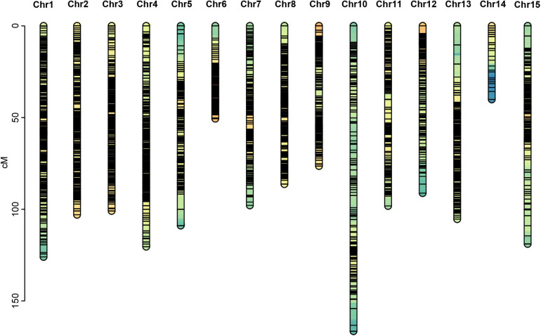 FIGURE 3