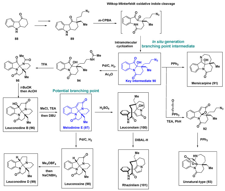 Scheme 6