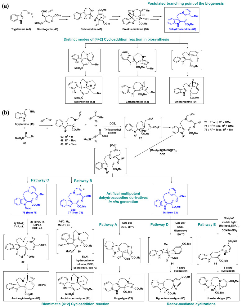 Scheme 5