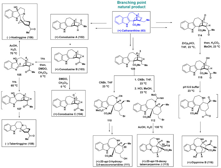 Scheme 7