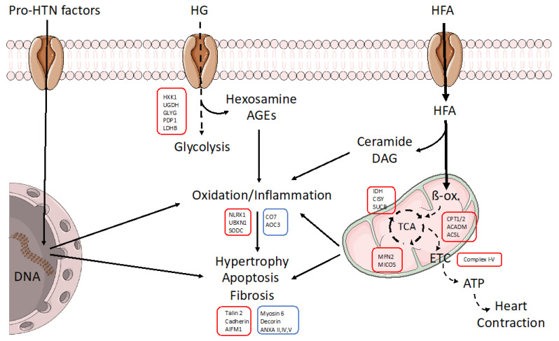 Figure 7