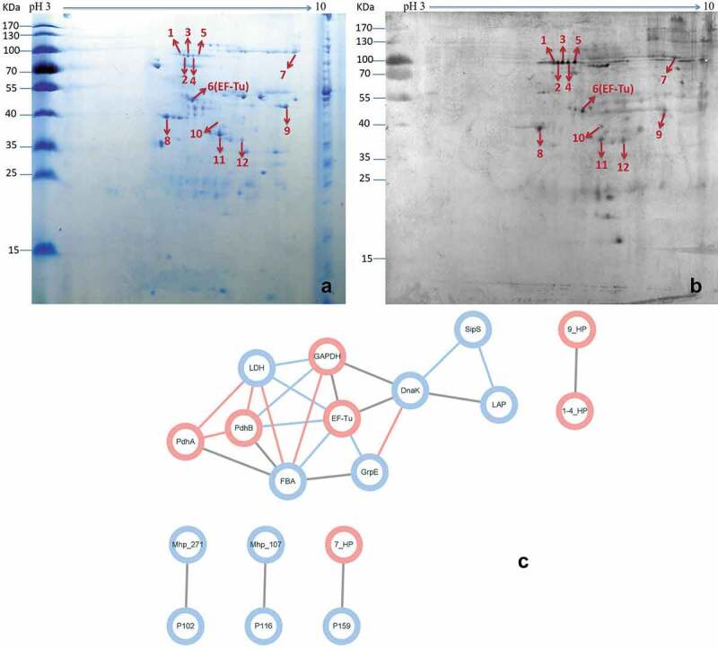 Figure 2.