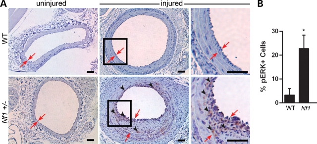 Figure 4.