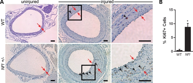 Figure 3.