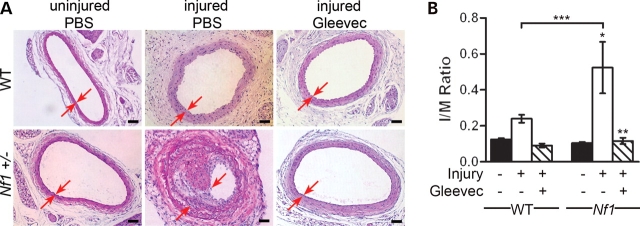 Figure 5.