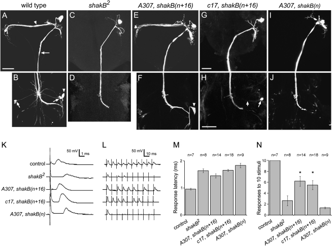 Figure 3