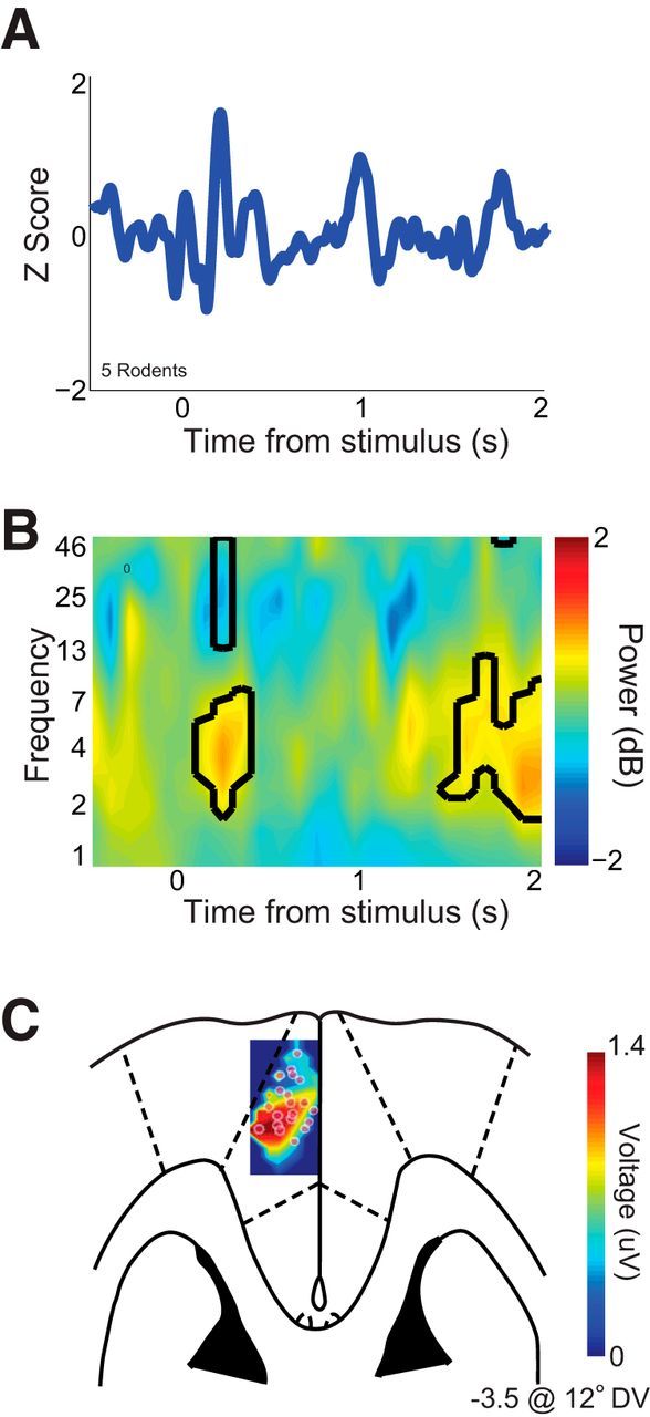 Figure 3.