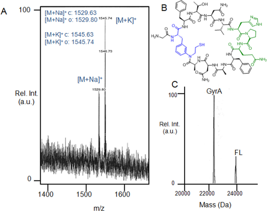 Figure 7