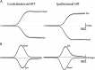 Fig. 10