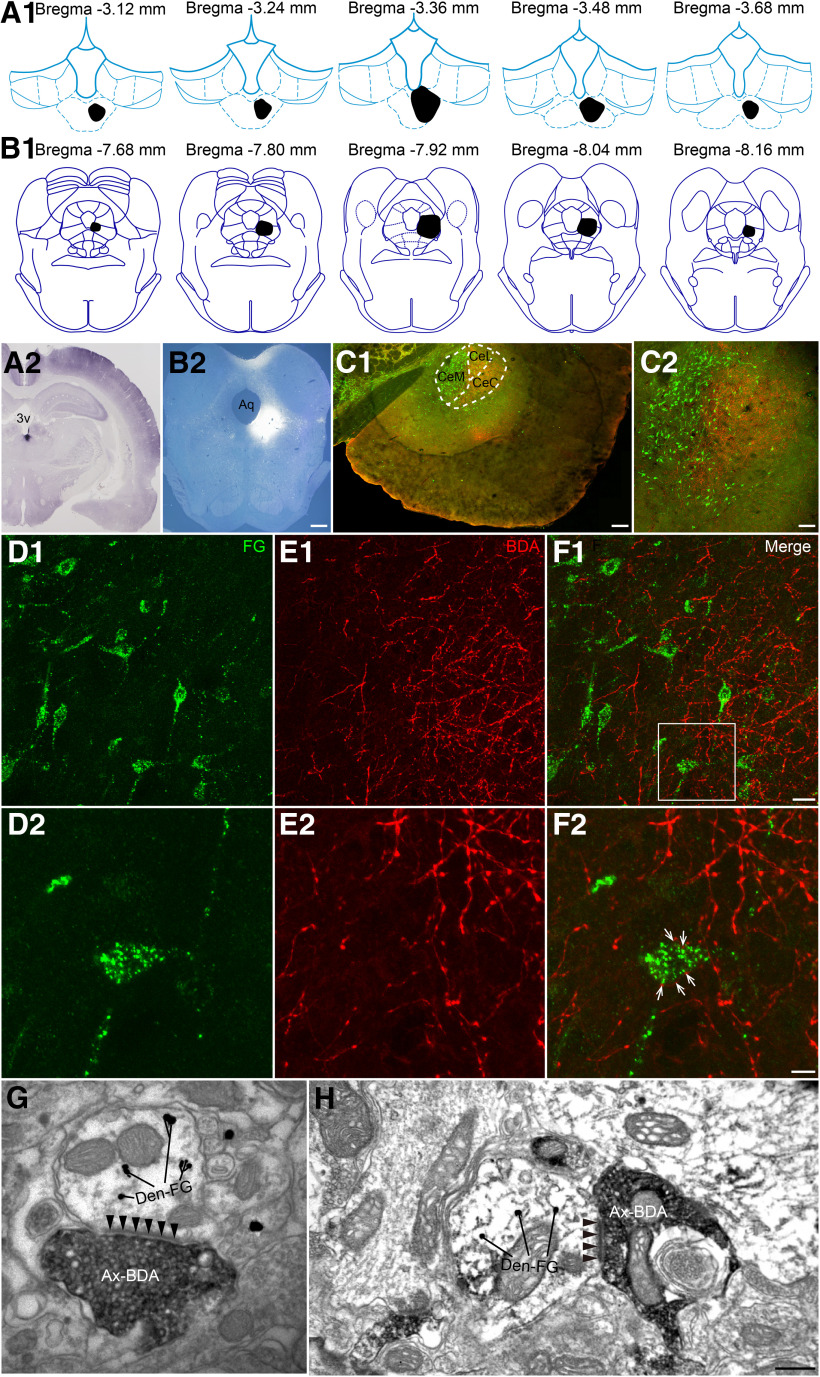 Figure 10.