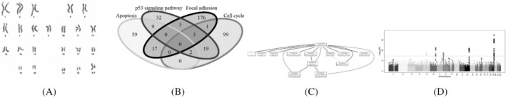 SIM-9162-FIG-0001-b