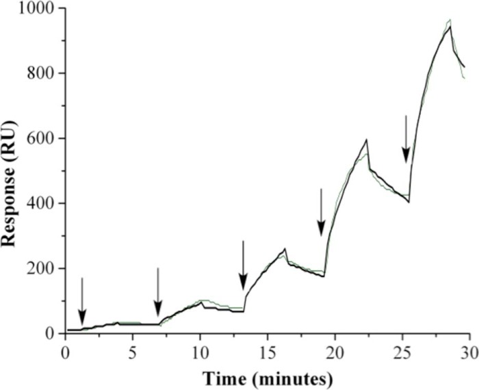 FIGURE 1.