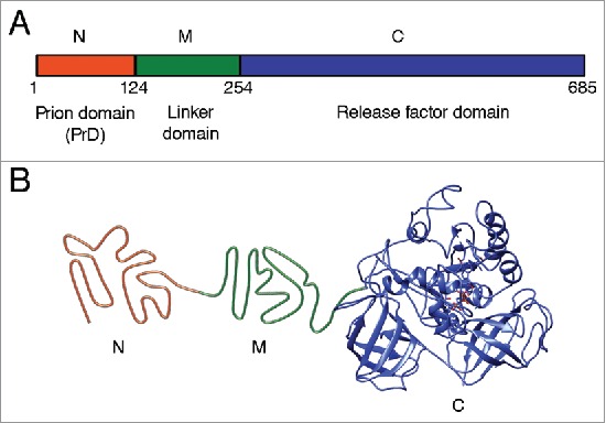 FIGURE 1.