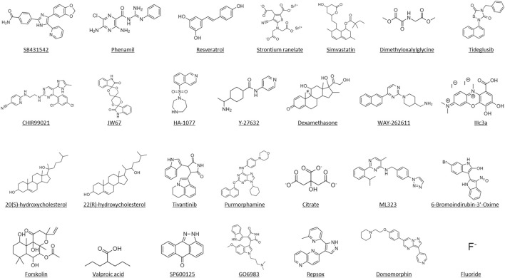 FIGURE 4