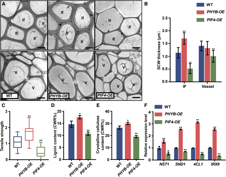 Figure 3