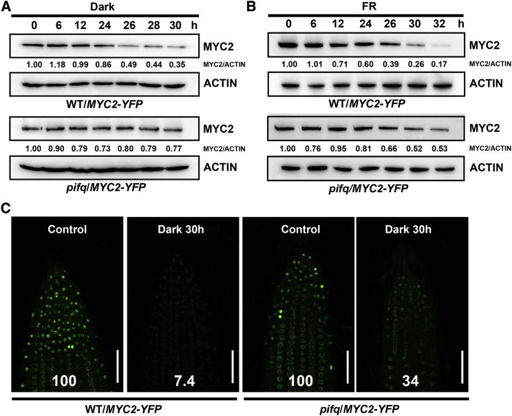 Figure 6