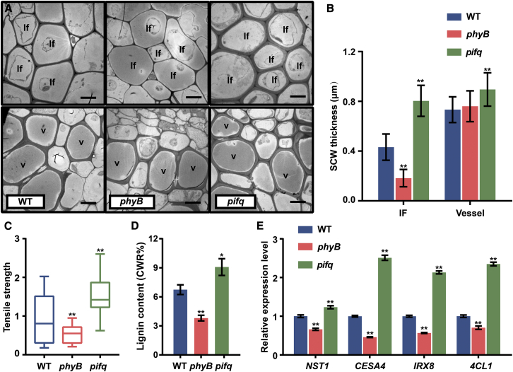 Figure 4