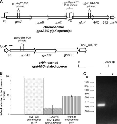 FIG. 6.