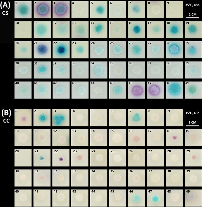 FIG 1