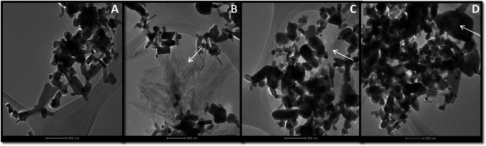 Fig. 3