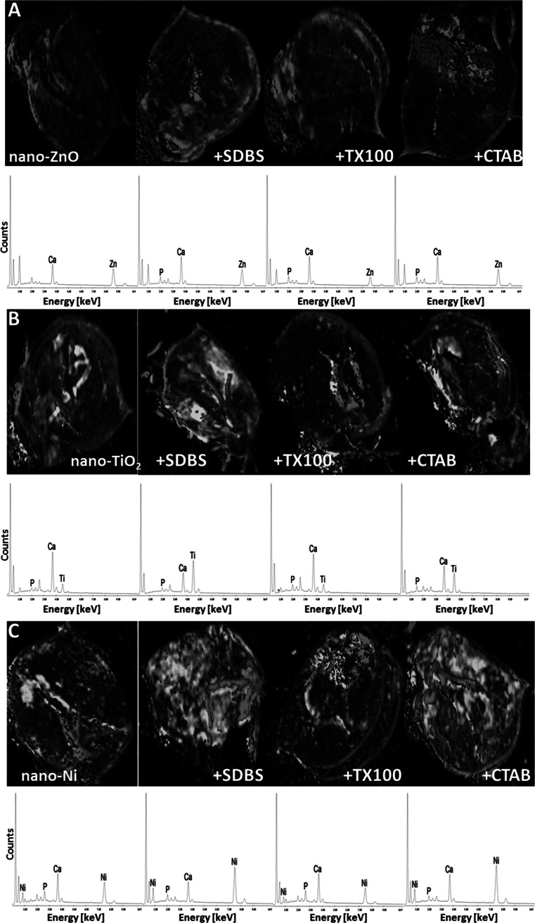 Fig. 7