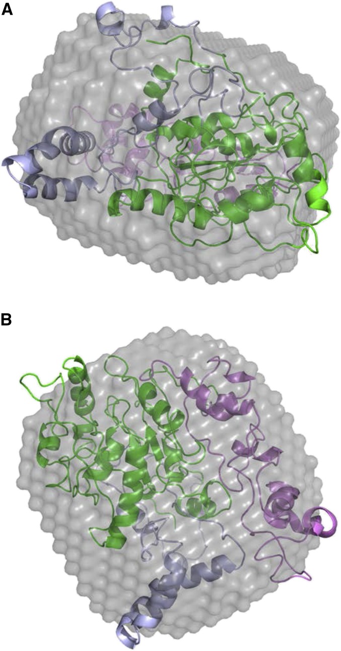 Figure 4.