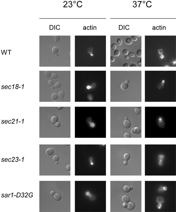 Figure 10.