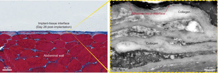 Extended Data Fig. 3