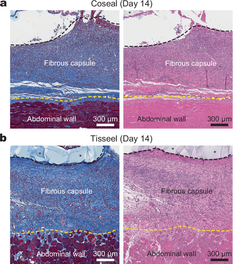 Extended Data Fig. 6