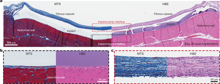 Extended Data Fig. 2