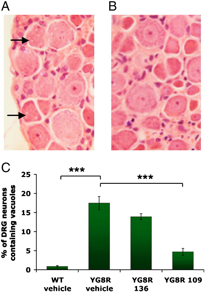 Fig. 8