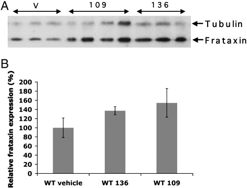 Fig. 6