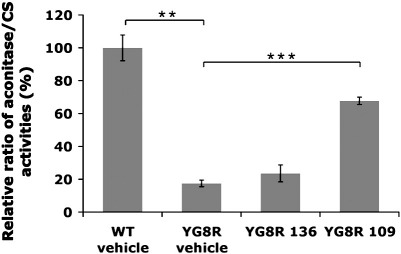 Fig. 7