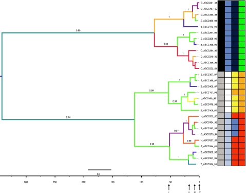 FIG. 3.