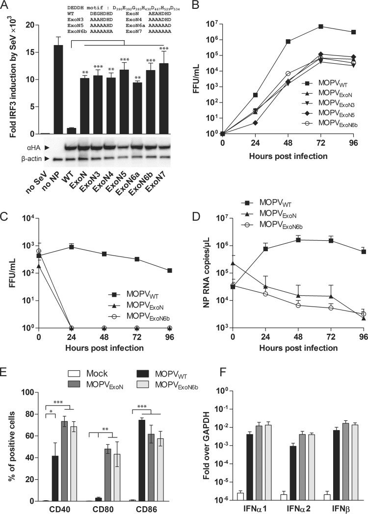 FIG 3