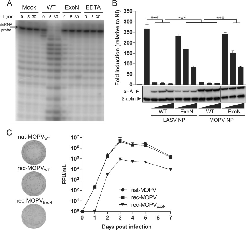 FIG 1