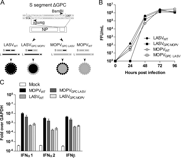 FIG 4