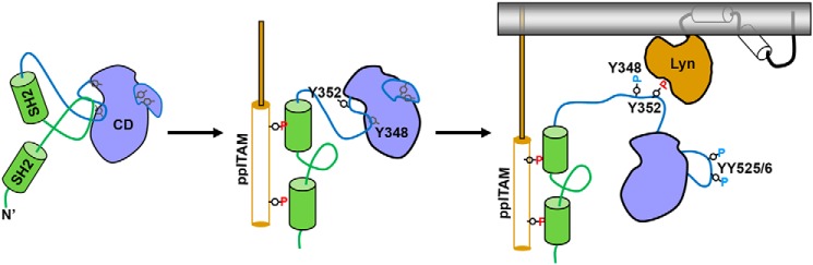 Figure 7.