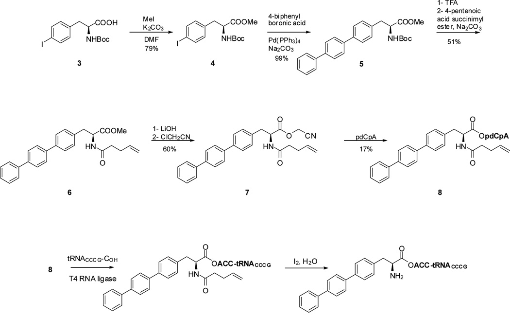 Scheme 2