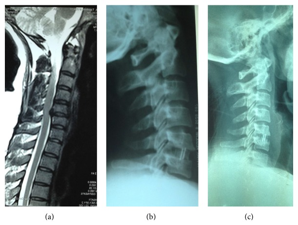 Figure 2