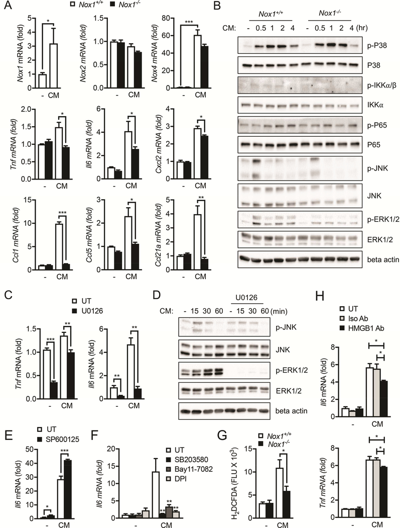 Figure 6.