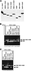 FIG. 7