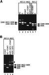 FIG. 5