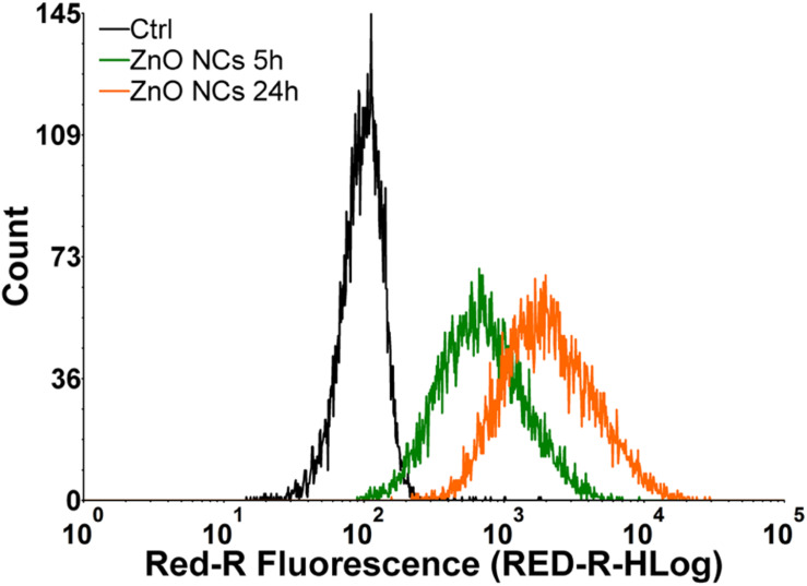 FIGURE 3